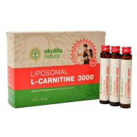 Ekolife Natura Liposomal L-Carnitine 3000mg - L-karnitin v lipozomální formě 350 ml