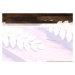 Camerazar Spona do vlasů s motivem vavřínového listu, stříbrná/zlatá, bižuterní kov, 8x3.5 cm
