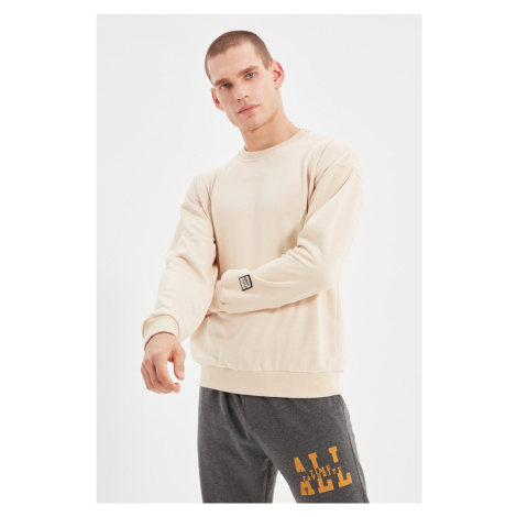 Trendyol Stone Regular/Normal Cut Sweatshirt