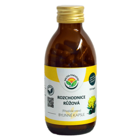 Salvia paradise rozchodnice růžová rhodiola 120 kapslí