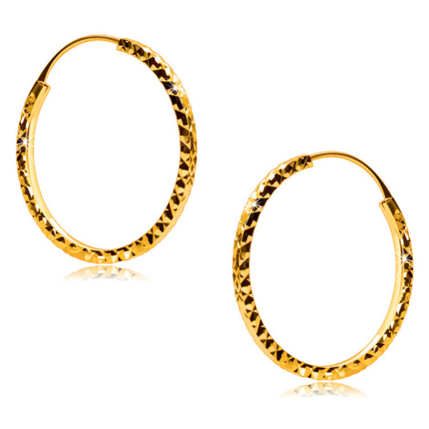 Kruhové náušnice ve žlutém 375 zlatě ozdobené diamantovým řezem, hranatá ramena, 18 mm Šperky eshop