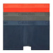 Pánské spodní prádlo LOW RISE TRUNK 3PK 000NB3651AMGY - Calvin Klein