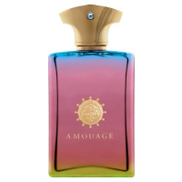 Amouage Imitation Man - EDP 100 ml