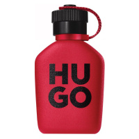 HUGO BOSS - Hugo Intense - Parfémová voda