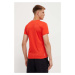 Sportovní triko Salewa Solidlogo Dry červená barva, s potiskem, 00-0000027018
