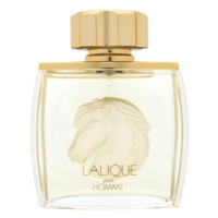Lalique Pour Homme Equus parfémovaná voda pro muže 75 ml