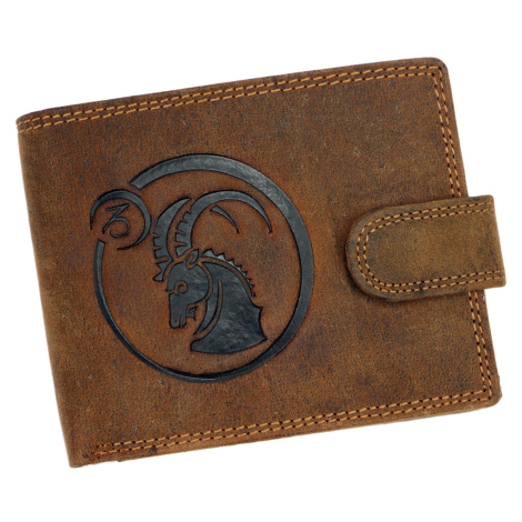 Pánská kožená peněženka Wild L895-012 varianta 8 hnědá