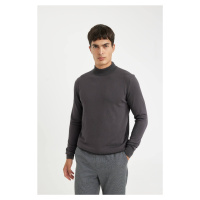 DEFACTO Regular Fit Turtleneck Sweater