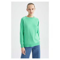 DEFACTO Relax Fit Crew Neck Basic Sweater I6913az22wn