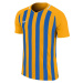 Nike STRIPED DIVISION III Pánský fotbalový dres, žlutá, velikost