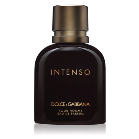 Dolce&Gabbana Pour Homme Intenso parfémovaná voda pro muže 75 ml Dolce & Gabbana