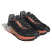 adidas Terrex Agravic Flow 2 Gtx W