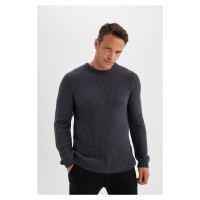 DEFACTO Standard Fit Crew Neck Thessaloniki Fabric Sweater