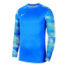 Nike JR Dry Park IV Modrá