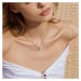 JAY Ocelový náhrdelník s motýlem - chirurgická ocel JAY-9012 Stříbrná 44 cm + 5 cm (prodloužení)