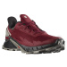 Salomon Alphacross 4 GTX M L41722800 - biking red black frost gray