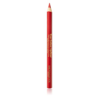 Dermacol True Colour Lipliner konturovací tužka na rty odstín 01 4 g