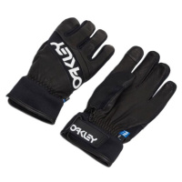 Oakley FACTORY WINTER GLOVES 2.0 Lyžařské rukavice, černá, velikost