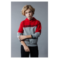 DEFACTO Boy's Hooded Printed Thick Sweatshirt