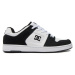 DC Shoes Manteca 4