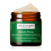 Antipodes Denní rozjasňující pleťový krém Manuka Honey (Hyaluronic Acid Brightening Day Cream) 6