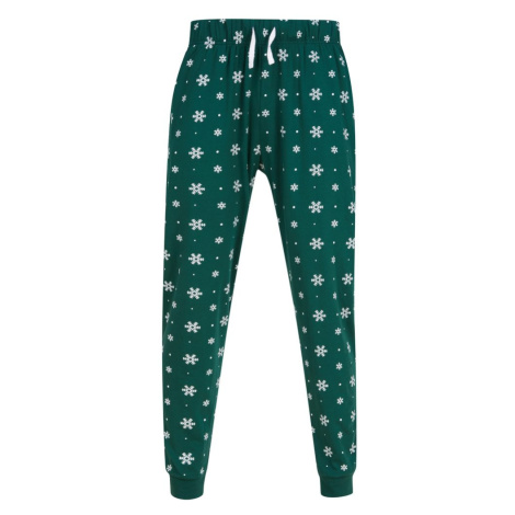 SF (Skinnifit) Pánské pyžamové kalhoty se vzorem