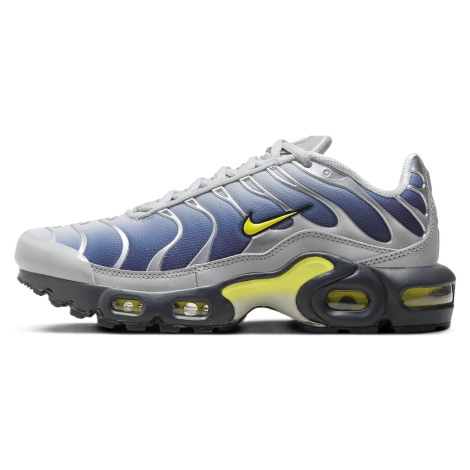 Nike Air Max Plus Obsidian Silver (GS)