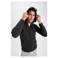 DEFACTO Regular Fit Hooded Zipper Sweatshirt