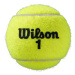Wilson ROLAND GARROS OFFICIAL 4 BALL Tenisový míček, reflexní neon, velikost