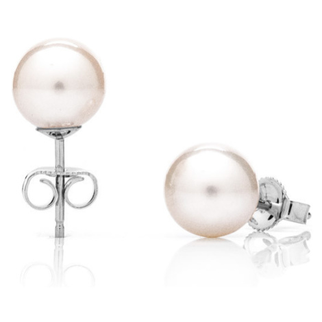 Buka Jewelry | Náušnice s pravou perlou Akoya 8 AAA - Barva Bílá, Drahý kov Rhodiované stříbro (