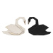 Párová brož Black Swan