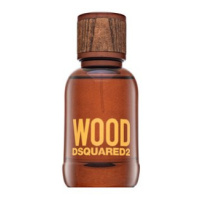 Dsquared2 Wood toaletní voda pro muže 50 ml