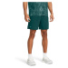 Vanish Woven 6in Shorts | Hydro Teal/Radial Turquoise