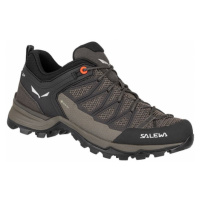 Salewa Mtn Trainer Lite GTX W dámské trekové boty 61362-7517