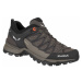 Salewa Mtn Trainer Lite GTX W dámské trekové boty 61362-7517