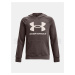 Under Armour UA Rival Fleece Hoodie J 1357585-176 - brown