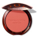 Guerlain Pudrová tvářenka Terracotta (Blush) 5 g 05 Dark Coral