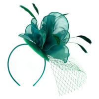 Art Of Polo Woman's Fascinator cz18578