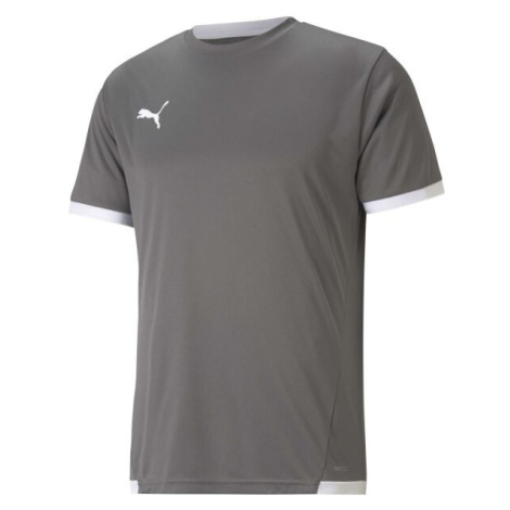 Puma TEAM LIGA JERSEY TEE Pánské fotbalové triko, šedá, velikost