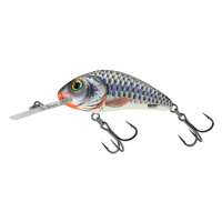 Salmo wobler rattlin hornet floating silver holographic shad-3,5 cm 3,1 g