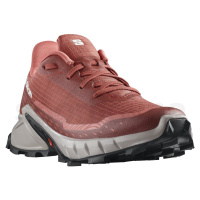 Salomon Alphacross 5 W L47313600 - cow hide ashes of roses faded rose