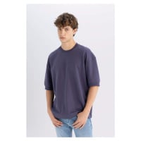 DEFACTO Loose Fit Crew Neck Printed Heavy Fabric T-Shirt