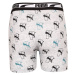 2PACK chlapecké boxerky Puma vícebarevné (701221349 001)