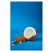 Nature Box Coconut osvěžující sprchový gel s hydratačním účinkem 385 ml