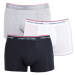 3PACK pánské boxerky Tommy Hilfiger vícebarevná