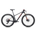 Pivot LES SL v kitu GX Eagle Transmission, Black sunset