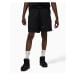 Jordan wordmark fleece short s