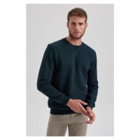 DEFACTO Regular Fit Sweatshirt